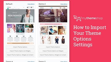How to Import Your Theme Options Settings HD