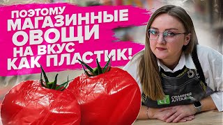 ВЫРАЩИВАНИЕ ТОМАТОВ БЕЗ ПИКИРОВКИ, КАК ВЫРАСТИТЬ РОВНУЮ МОРКОВЬ?! Ответы на вопросы Семена Алтая