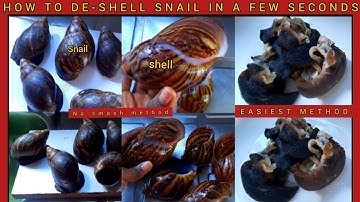 How to remove snails from shell /how to remove snails from it