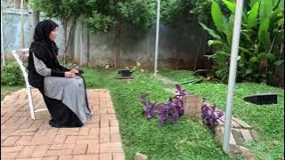 Ziarah Ke Makam Syekh Ali Bersmaa Ibu Deva Rachman