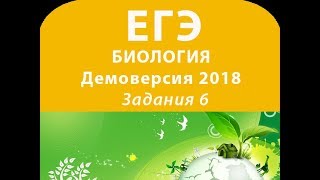 Задания 6 Демовариант 2018 ЕГЭ по биологии Задания 6 Демовариант 2018 ЕГЭ по биологии