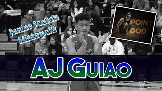 5&#39;9&quot; PG - AJ Guiao (Class of 2021) - Junior Season Highlights