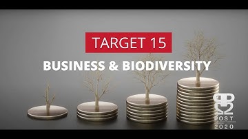 Transformative actions needed to implement the KMGBF Target 15!