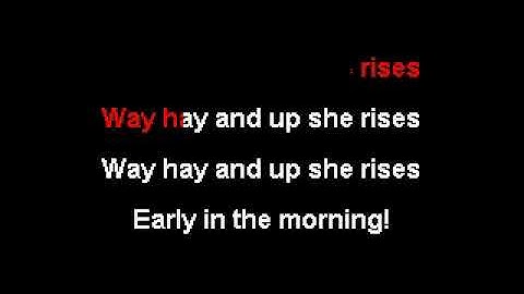 Thumbnail of Drunken Sailor by Irish Rovers full karaoke with backing audio