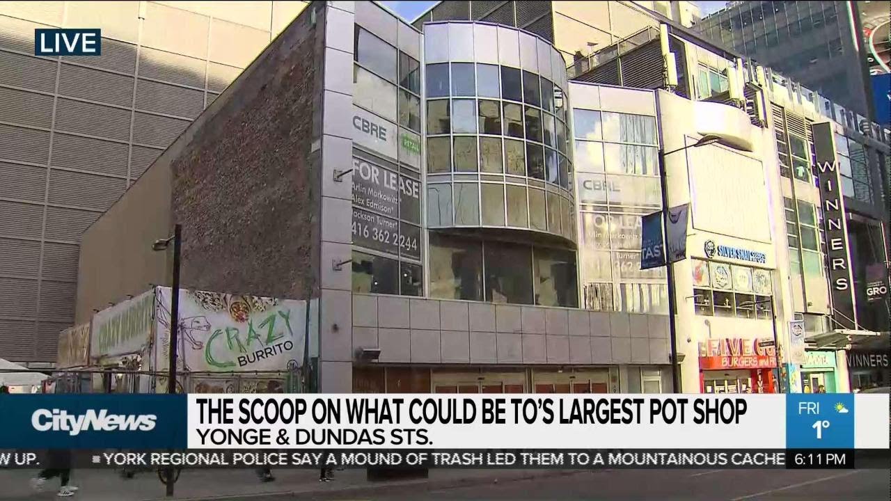 Will this be Toronto's largest pot shop?