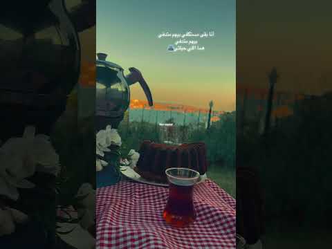 أنا مستكفي بيهم متدفي بيهم متدفيهما اللي حيلتي اللمة العيلة تصويري اسطنبول ستوريات بدون موسيقى