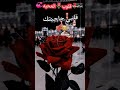 حالات قلوب المحبه