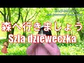 P034. 『森へ行きましょう』”Szła dzieweczka" Polish Folk Performed by 柳川優子 Yuko Yanagawa Tremolo Harmonica 1000