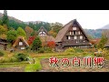 Autumn Colors in Shirakawa-go 2021. A World Heritage Site. #白川郷 #4K