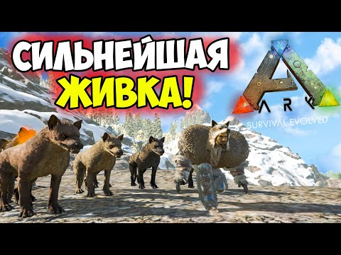 Видео: Самая ИМБОВАЯ СТАЯ в ARK? Зачем ТАМИТЬ Скорпиона, Саблезуба, Ответ от АРКЕРА ДИЕГО! Хроники АРКа #10