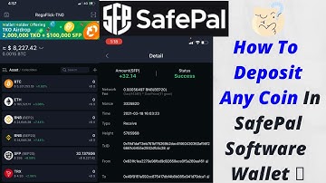 How To Deposit Any Coin In SafePal Software Wallet  |