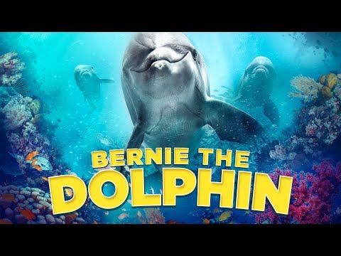 Bernie The Dolphin Official Uk Trailer