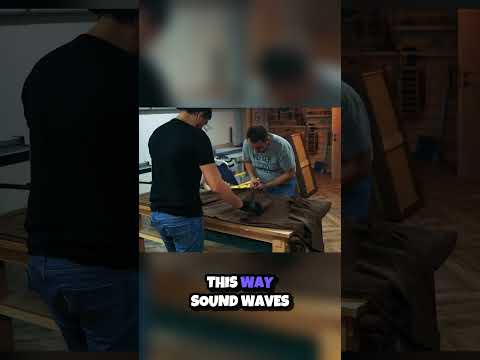 Unveiling The Secret Of Sound Absorbing Fabrics Shorts 