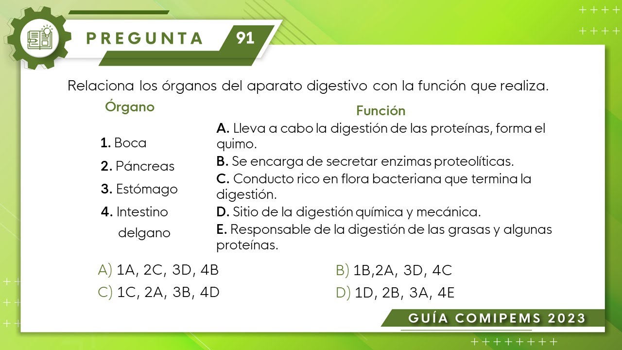 Guía COMIPEMS 2023 | Biología| Pregunta No. 91 - YouTube