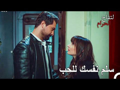 لا يمكن هزيمة الحب التفاح الحرام