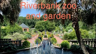 جولة في حديقة الحيوانات في كولومبيا ولاية كارولينا الجنوبية Riverbanks zoo in Columbia ,SC