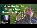 Tom chi net positive for the planet  from beavers to bionics  the great simplification 120