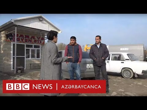 Neftçala kəndində gördüklərimiz - İlkin Həsənovun reportajı