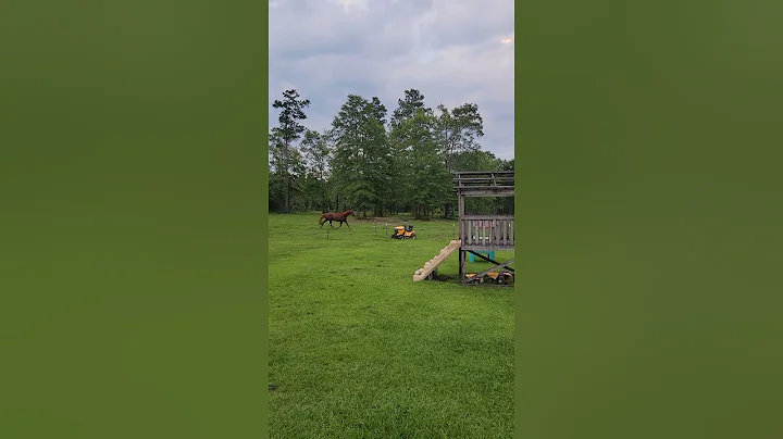 RIP Cowboy