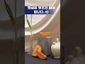중년뱃살은 당장 빼야 합니다#건강 #다이어트식단 #건강한중년#염증