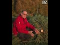 Christbäume Paar