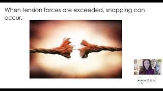 Forces on structures video notes