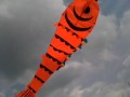 5m long orange fish ready to fly up high