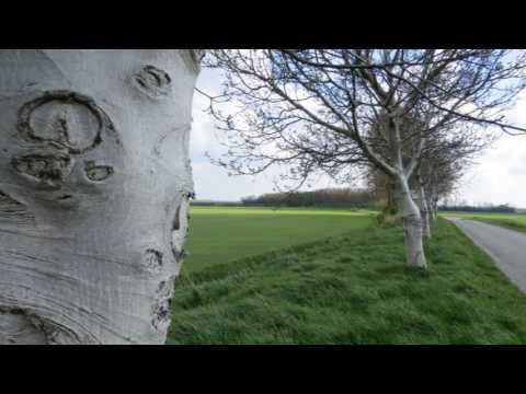 Natuurfilm. Zeeuws-Vlaanderen - Eiland van de Meijer en omgeving.