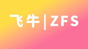 飞牛重大更新！ZFS跟btrfs和ext4的区别～