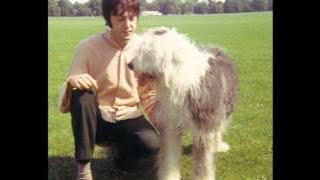 The Beatles - Martha My Dear (432 Hz) - MrBtskidz