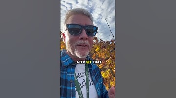 Each vine is unique and needs to be pruned differently.