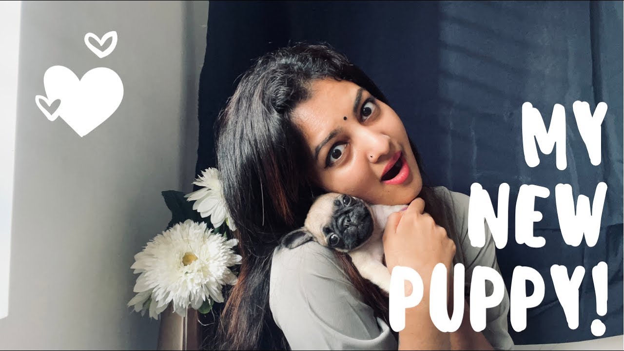 Meet my puppy | Eid vlog 2021 - YouTube