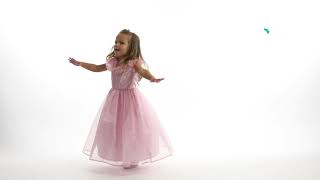 Little Adventures In Action - Deluxe Pink Erfly Princess