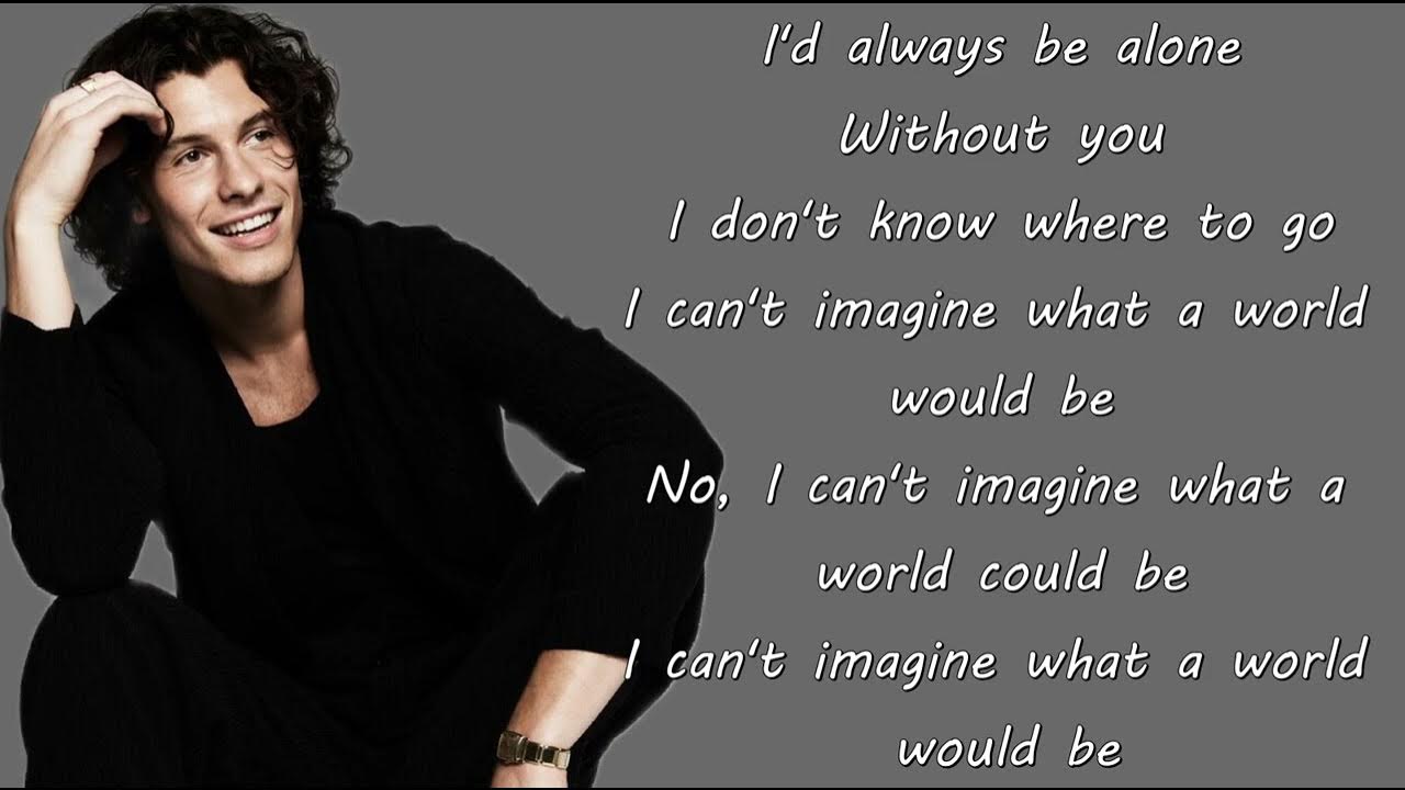 Shawn Mendes Can't Imagine (Lyrics) YouTube