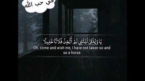 وَيَوْمَ يَعَضُّ الظَّالِمُ عَلَىٰ يَدَيه/أجمل حالات واتس اب دينية/ارح قلبك/ تلاوة عطرة/