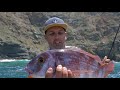 Pesca en la Gomera Spinning embarcado (SEARIVER FISHING)
