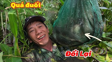 Thăm 8 Cái Lờ Giang Nan Đổi Lại Thành Quả Cũng Xứng Đáng / Định Nguyễn Hậu Giang