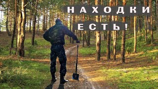 Находки на лесной дороге