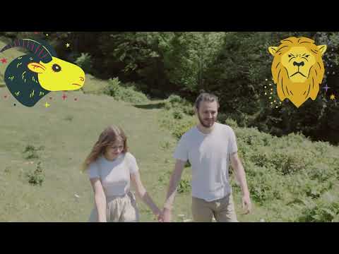 حسب خبيرة ابراج علاقة الحب بين هنا الزاهد برج الجدي وتامر حسني برج الاسد لن تنجح ابدا ابدا