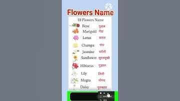10 flowers name / flowers name / flowers name with spelling /फ़ूलों के नाम #shortsfeed #viralshorts