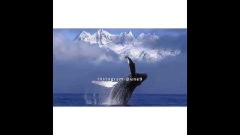 اجمل تلاوة عجيبة تهز الروح والجوارح /القارئ عمير شميم/من سورة الصافات