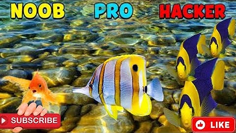 NOOB . PRO . HACKER . Crowd Fish 3D #crowdfish3d #games #mrgames