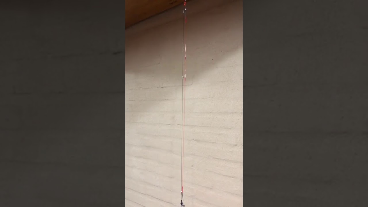 Linea "LA BARREDORA"  2 anzuelos por pablo tachino