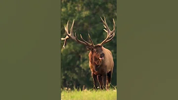 Discovery Channel 
