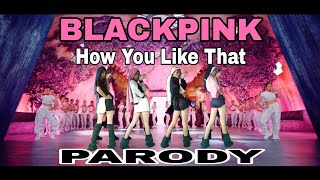 BLACKPINK - 'How You Like That' M/V PARODY (Low Budget Version)