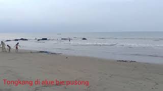 Tongkang yg hayut pada tahun ( 2005 )