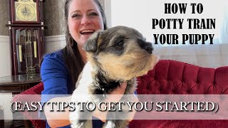 How to potty train your puppy (with easy tips to get you started)