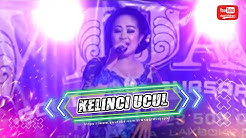 KELINCI UCUL - Voc. Yati Asmara WIJAYA CAMPURSARI - Durasi: 6:03. KELINCI UCUL - Voc. Yati Asmara WIJAYA CAMPURSARI - Durasi: 6:03.