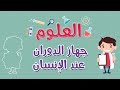 العلوم | جهاز الدوران (الجزء الأول)