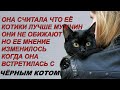 Она считала Что её котики лучше мужчин Они не обижают Но судьба её резко изменилась когда подобрала…